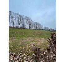 Grundstück - 75,00 EUR Kaltmiete, ca.  0,00 m² in Lichtenau (PLZ: 09244)