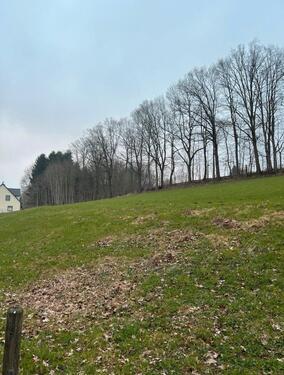 Foto - Grundstück in Lichtenau