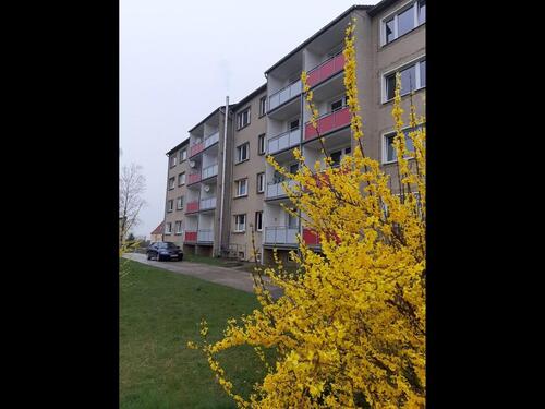 Foto - 3 Zimmer Etagenwohnung zur Miete in Osterfeld
