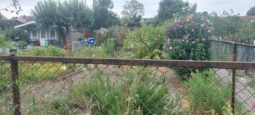 Foto - KGV 'Goldene Höhe' e.V.: Parzelle 111 wird frei