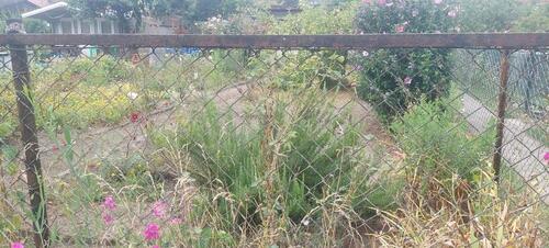 Foto - Grundstück zur Miete in Leipzig