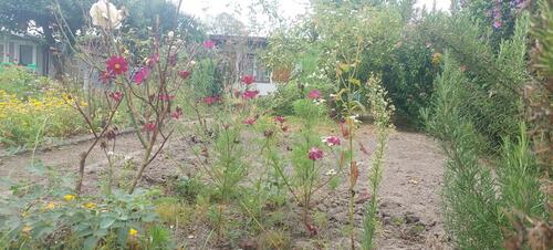 Foto - Grundstück in Leipzig