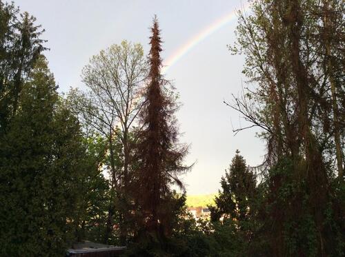 Foto - 1Fam. Haus, Hagen-Emst mit Baugrundstück