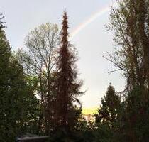 1Fam. Haus, Hagen-Emst mit Baugrundstück