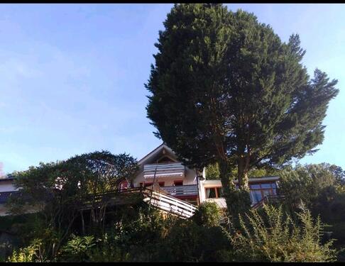 Foto - Einfamilienhaus zum Kaufen in Gemünden am Main