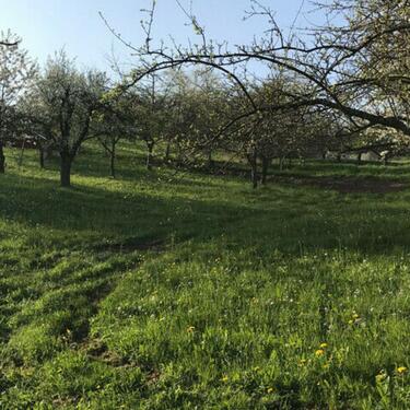 Foto - Grundstück zur Miete in Wetter (Hessen)