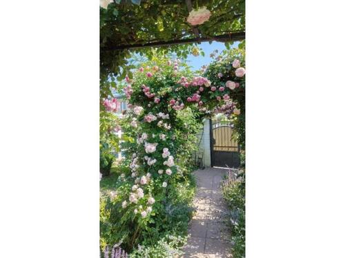 Foto - Einfamilienhaus zum Kaufen in Wuppertal