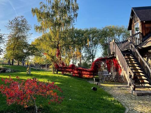 Foto - 3 Zimmer Einfamilienhaus zur Miete in Bad Lauterberg im Harz