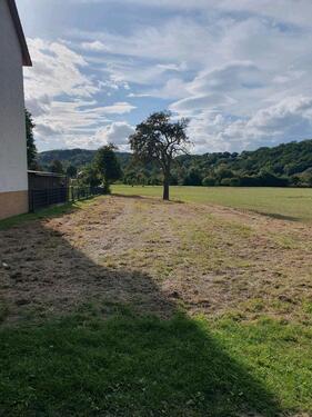 Foto - Pacht von Freizeitgrundstück, Gartengrundstück, Holzlager