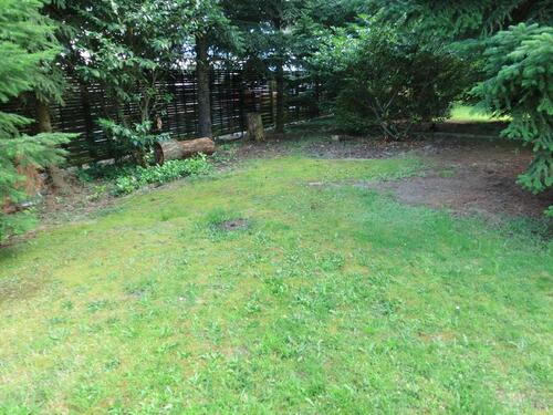 Foto - andere zur Miete in Neustadt am Rübenberge