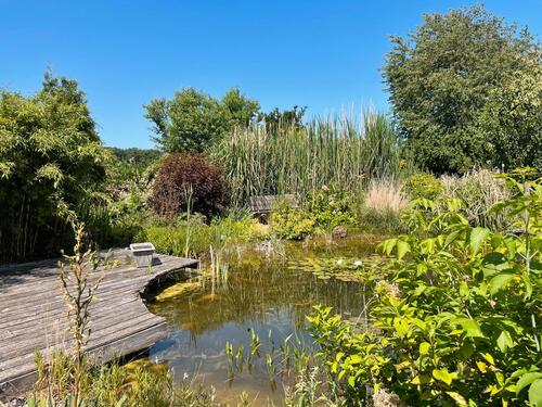 Foto - 5 Zimmer Einfamilienhaus in Schlangen