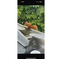 Charmante 1-Zimmer-Wohnung im Herzen Berlins