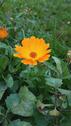 Foto - Gartenhaus in Forst - 3.500,00&nbsp;EUR Kaltmiete, ca.&nbsp; 0,00&nbsp;m&sup2;