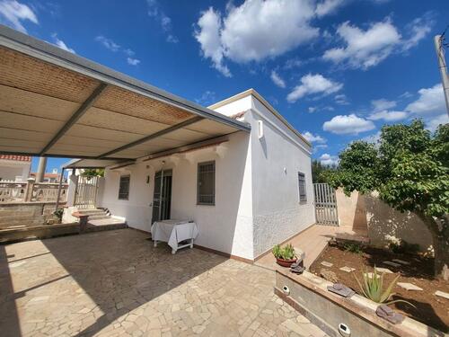 Foto - ️ Honeymoon-Haus Manduria – Meerblick & Olivenhain