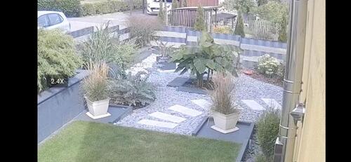 Foto - Einfamilienhaus in Salzgitter zum Kaufen