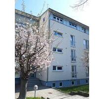 Wunderschöne, helle 3 Raum Wohnung mit Einbauküche und auf Wunsch möbliert - Zwickau Zwickau-West