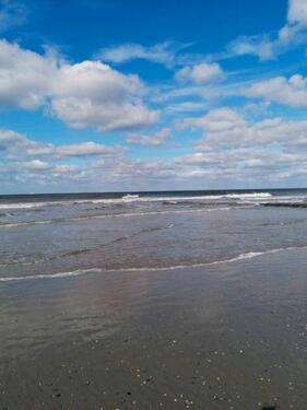 Foto - andere in Moormerland