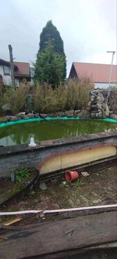 Foto - Einfamilienhaus in Pfungstadt zum Kaufen