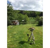 64658 Fürth Einfamilienhaus ruhige Waldrandlage