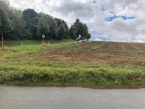 Foto - Feld Acker Ackerland AL Ortseingang Feldweg 1400 m2