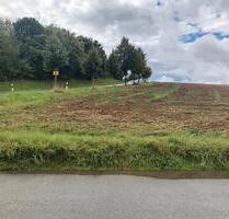 Feld Acker Ackerland AL Ortseingang Feldweg 1400 m2 - Wildenfels