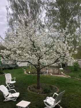 Foto - Doppelhaushälfte Hannover-Misburg (Erbpachtgrundstück)