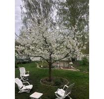 Doppelhaushälfte Hannover-Misburg (Erbpachtgrundstück)