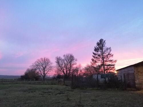 Foto - Einfamilienhaus in Boddennähe - 250.000,00&nbsp;EUR Kaufpreis, ca.&nbsp; 127,00&nbsp;m&sup2;