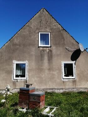Foto - Einfamilienhaus in Marlow zum Kaufen