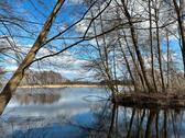 Foto - Seegrundstück mit Insel – Freizeit, Wald, Naturparadies Spreewald