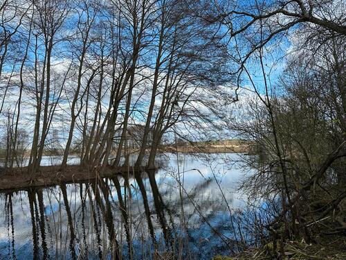 Foto - Grundst&uuml;ck zur Miete in Märkische Heide