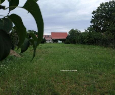 Foto - Einfamilienhaus in Liepgarten