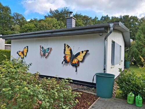 Foto - 3 Zimmer Einfamilienhaus zur Miete in Goldberg