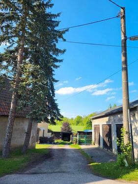 Foto - Bauernhaus, Landhaus in Lunzenau zum Kaufen