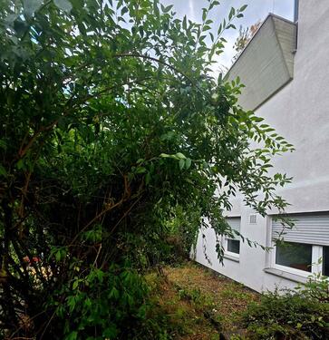 Foto - Eine 3 ZKB Wohnung bei Bad Kreuznach provisionsfrei zu verkaufen