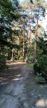 Foto - 