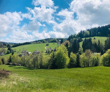 Foto - andere zur Miete in Todtmoos