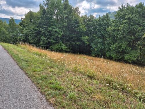 Foto - Wiesengrundstücke mit Straßenzugang