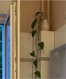 Foto - Wohnung zur Untermiete 10.12.25-10.01.26