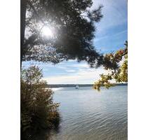 Exklusiver Neubau - Wunderschöne 3-Zimmer-Wohnung in bester Lage - Steinberg am See Oder