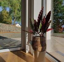 Gartenwohnung in Hausgemeinschaft, ruhige Lage, Erstbezug - Solms