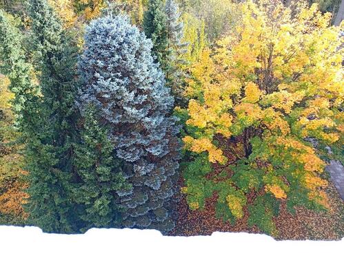 Foto - Etagenwohnung zum Kaufen in Mainz