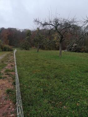 Foto - Landwirtschaftliches Grundstück in 71111 Waldenbuch