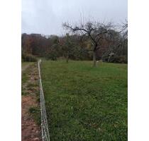 Landwirtschaftliches Grundstück in 71111 Waldenbuch