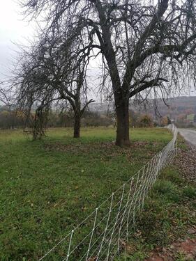Foto - Grundstück zur Miete in Waldenbuch