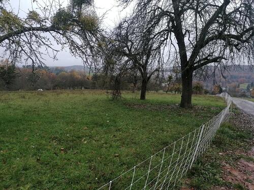 Foto - Grundstück in Waldenbuch zur Miete