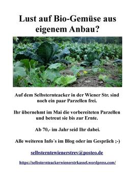 Foto - Gemüseselbsternte Parzellen & Grabeland ab 20qm 34127 Wiener Str.