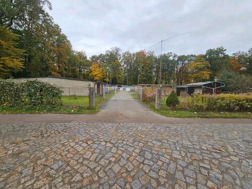 Foto - andere in Cottbus zur Miete