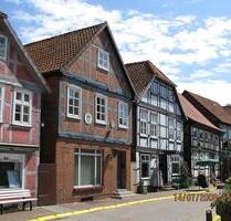 2 Zimmer Whg. auf der Insel Stadt HitzackerElbe - Hitzacker (Elbe)