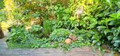Foto - 5 Zimmer Einfamilienhaus in Ostenfeld (Husum)